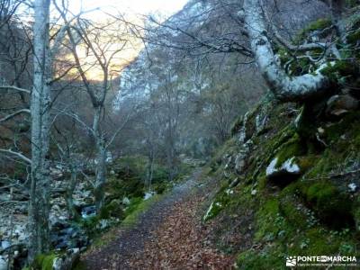 Parque Natural y Reserva de la Biosfera de Redes;viajes puente octubre rutas madeira senderismo cost